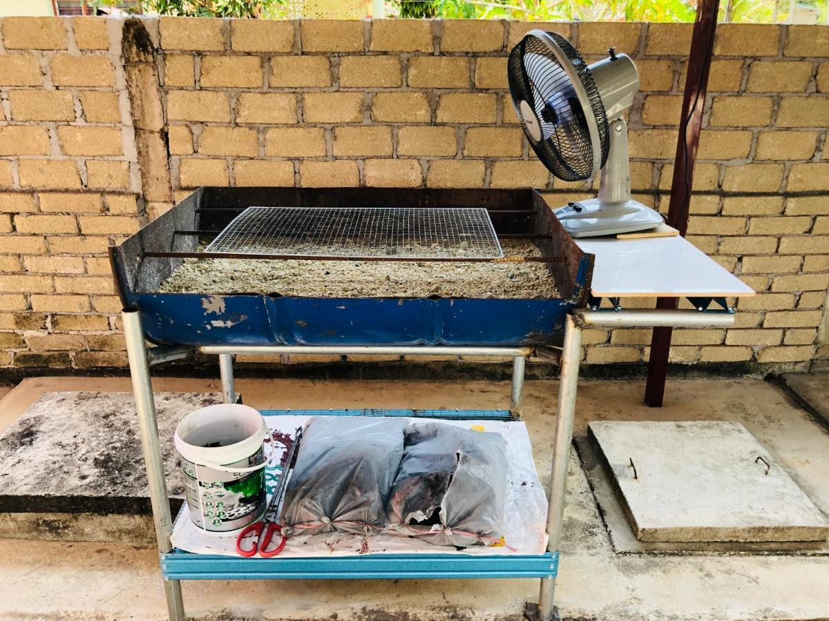 Homestay Tok Abah Dalam Rhu 巴西富地 外观 照片